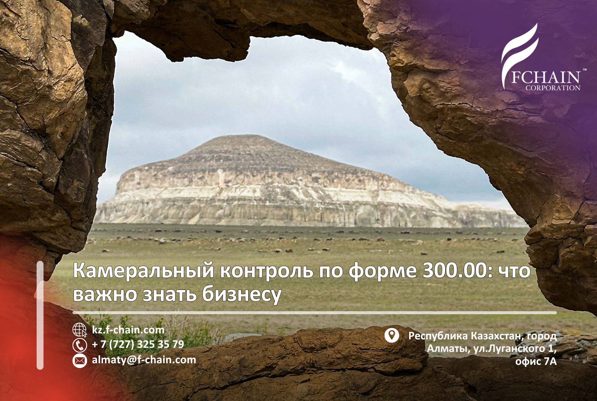 Камеральный контроль по форме 300.00: что важно знать бизнесу