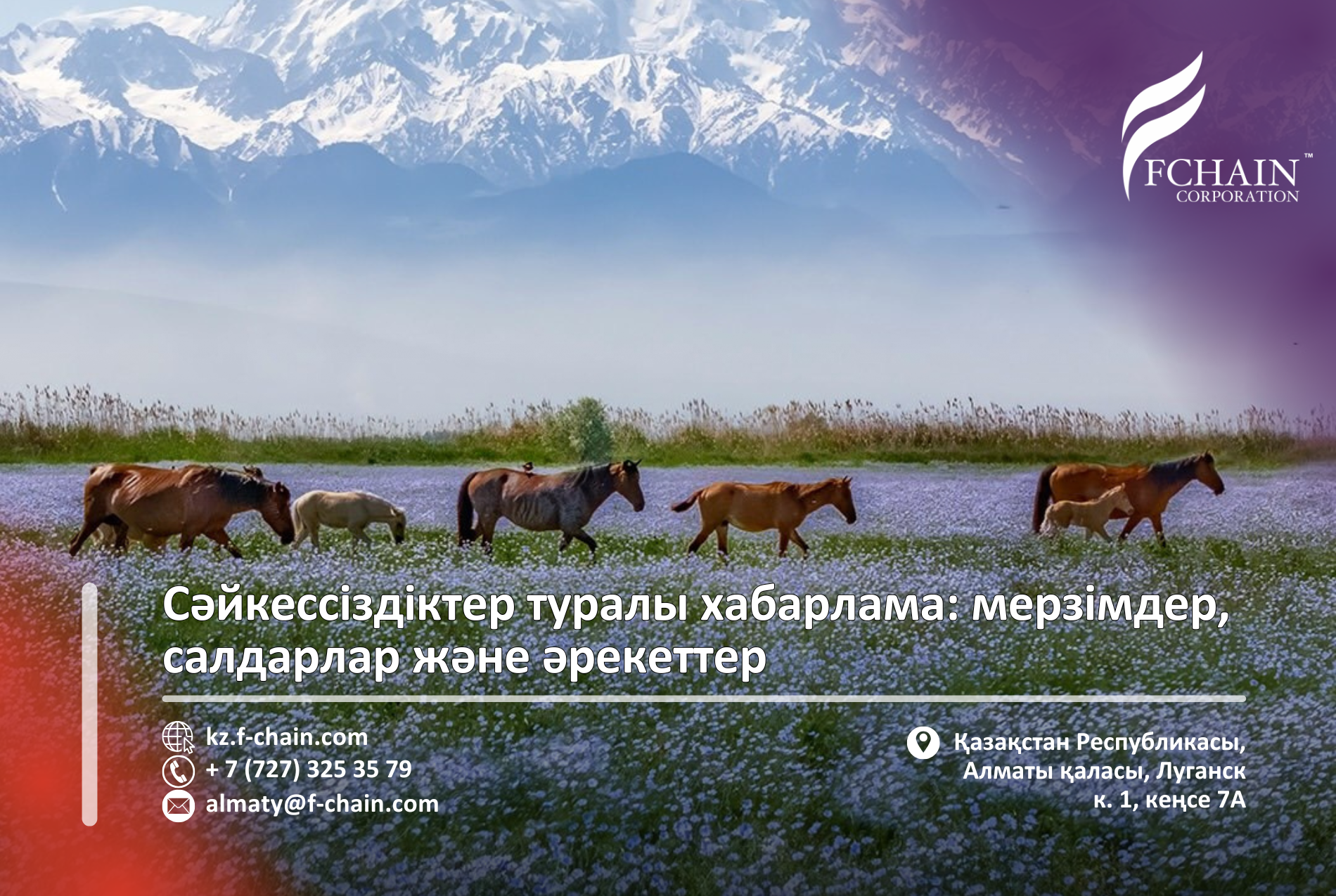 Сәйкессіздіктер туралы хабарлама: мерзімдер, салдарлар және әрекеттер