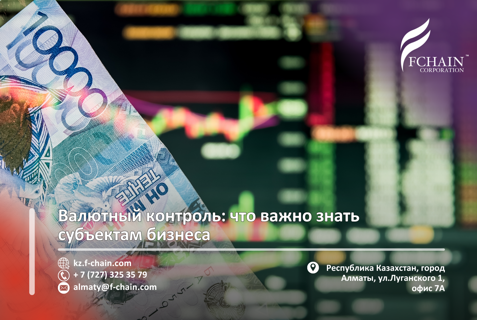 Валютный контроль: что важно знать субъектам бизнеса